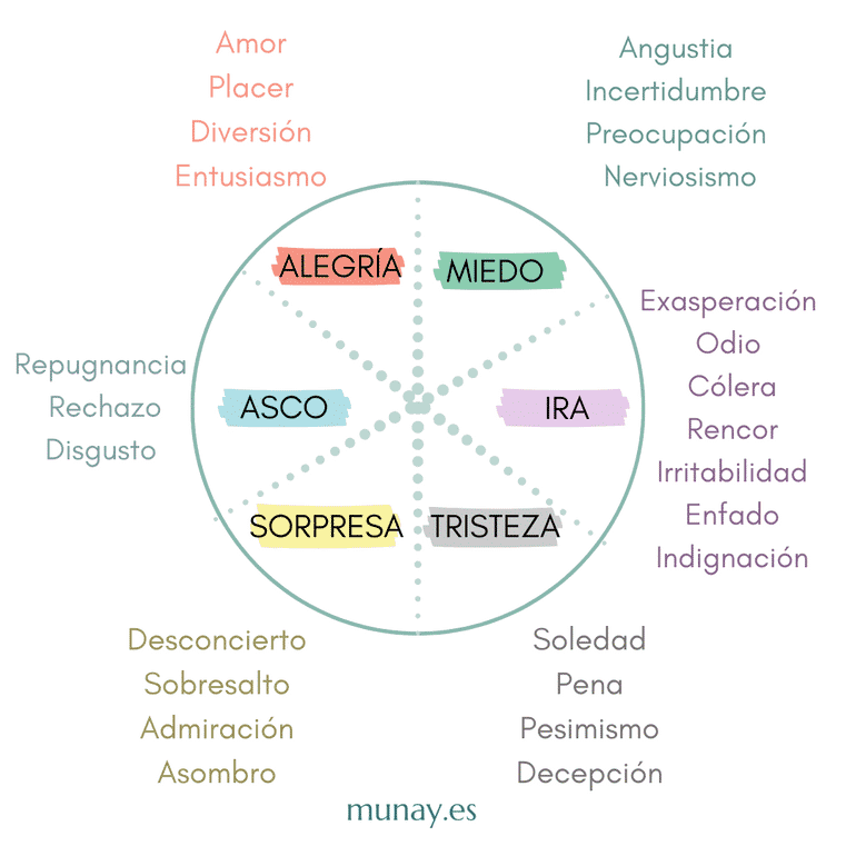 Tipos de emociones